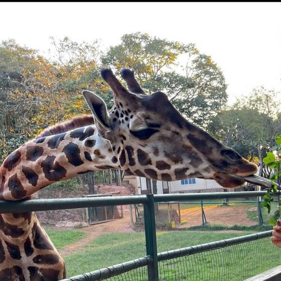 Biah Rodrigues já é mãe de Theo, de apenas um aninho