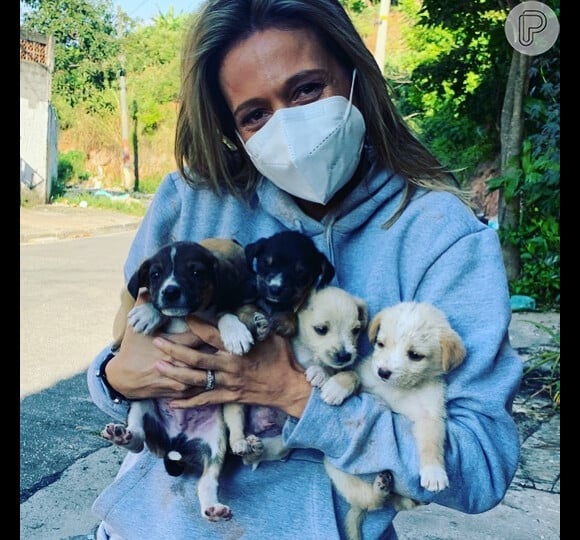 Luisa Mell fez uma live no Instagram e relatou dificuldades na recuperação do trauma após passar por cirurgia sem consentimento