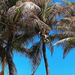 Thaila Ayala ficou hospedada no mesmo quarto de Grazi Massafera e o novo namorado, uma semana antes da viagem dos pombinhos