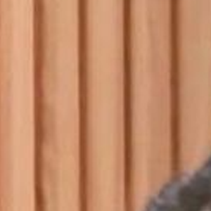 Sandy e Júnior se reúnem em programa de culinária da cantora