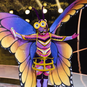 'The Masked Singer': a Borboleta usa fantasia com veludo e tecido voil