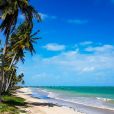 Conheça os melhores points do verão em Alagoas  