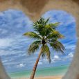 Verão em Alagoas: lugares imperdíveis para conhecer no Nordeste