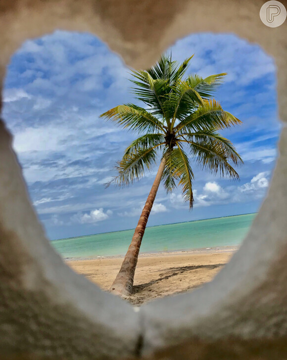 Verão em Alagoas: lugares imperdíveis para conhecer no Nordeste