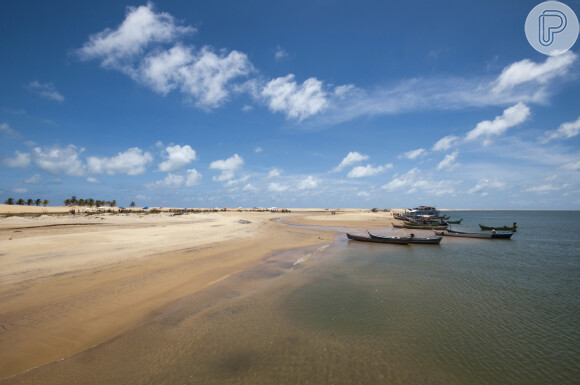 Alagoas é conhecida pela beleza de seu litoral com belas praias