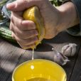 Incluir um shot de limão antes da alimentação ajuda a regular o apetite, aponta nutricionista