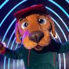 'The Masked Singer': Cachorro estreia no palco do reality com a Leoa e já levanta palpites entre internautas