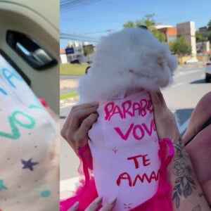 Viih Tube vestiu as cachorrinhas da família com roupas com dizeres amorosos para a mãe, tudo para aumentar a surpresa