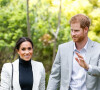 Antes de 2020, Príncipe Harry e Meghan Markle apareciam abaixo de Príncipe William e Kate Middleton no site oficial da monarquia britânica