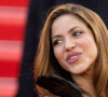 Shakira foi flagrada com instrutor de surfe na Espanha. 'Desta vez ficou muito claro que Shakira e seu treinador se dão muito bem', afirmou mídia estrangeira