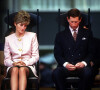 The Crown: divórcio de Charles e Diana não teve valor mostrado na série