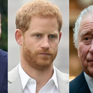 Família Real prepara cúpula para dar fim às polêmicas entre Príncipe Harry, Príncipe William e Rei Charles III