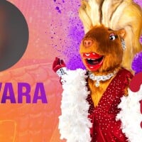 'The Masked Singer Brasil 3': você sabe quem é a Capivara? Descubra famoso por baixo da fantasia