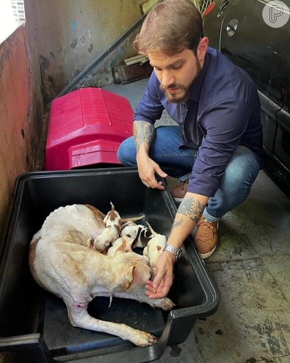 Felipe Becari é conhecido por suas ações em prol dos animais