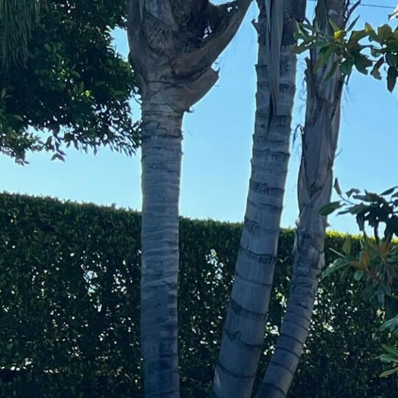 Isis Valverde compartilhou imagens fofas ao lado do filho