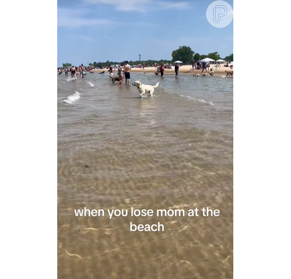 O labrador Sligo teve uma reação de partir o coração ao achar que havia perdido a sua dona em uma praia