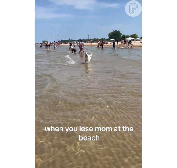 Felicidade em rosto de cachorro que reencontrou dona após achar que foi abandonado na praia viraliza