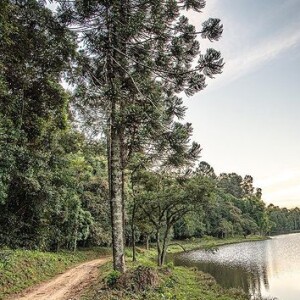 Fazenda Itahye fica localizada a cerca de 30 minutos da cidade de São Paulo