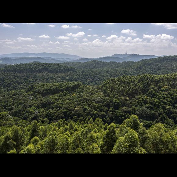 Fazenda Itahye possui cerca de 1400 hectares