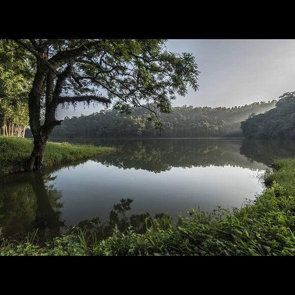 Há cerca de 60 nascentes e represas na Fazenda Itahye