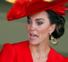 6 palavras são PROIBIDAS na Família Real: vocês sabe o que Kate Middleton, William e mais integrantes não podem falar?