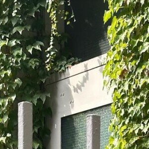 Sasha Meneguel ainda postou foto dos itens de seu look no Instagram