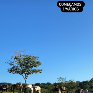 Samantha Jones publicou, em seus stories, a imagem de um campo com cavalos e algumas marcações de cena do remake de Renascer