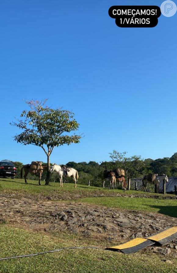 Samantha Jones publicou, em seus stories, a imagem de um campo com cavalos e algumas marcações de cena do remake de Renascer