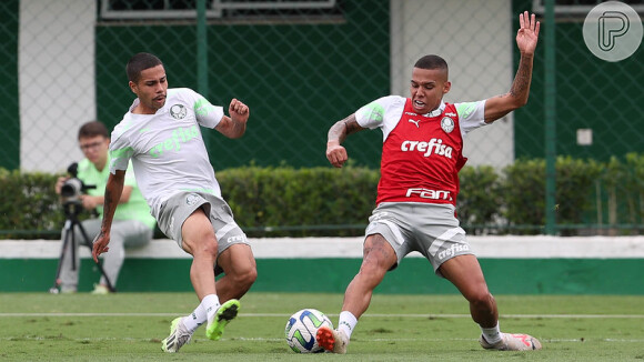 Palmeiras enfrenta o Coritiba na próxima rodada do Brasileirão