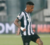 Botafogo x Palmeiras vai passar na Globo em 1º de novembro de 2023 às 21h30, jogo pela 31ª rodada do Campeonato Brasileiro 2023?
