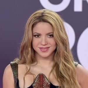 Shakira quer fazer maior turnê de sua carreira