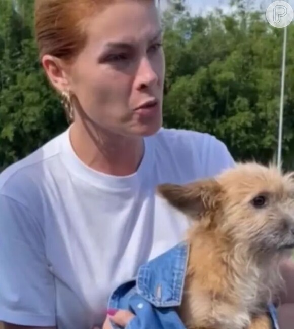 Ana Hickmann revelou que Joaquim, cachorro resgatado pela apresentadora, foi vital em um momento de desespero da apresentadora