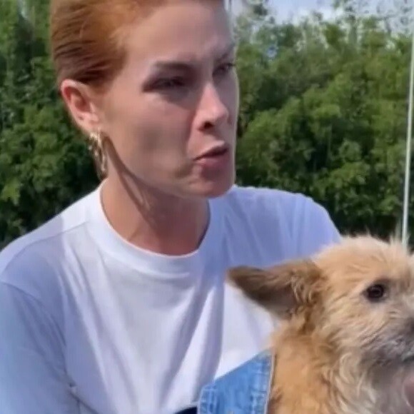 Ana Hickmann revelou que Joaquim, cachorro resgatado pela apresentadora, foi vital em um momento de desespero da apresentadora
