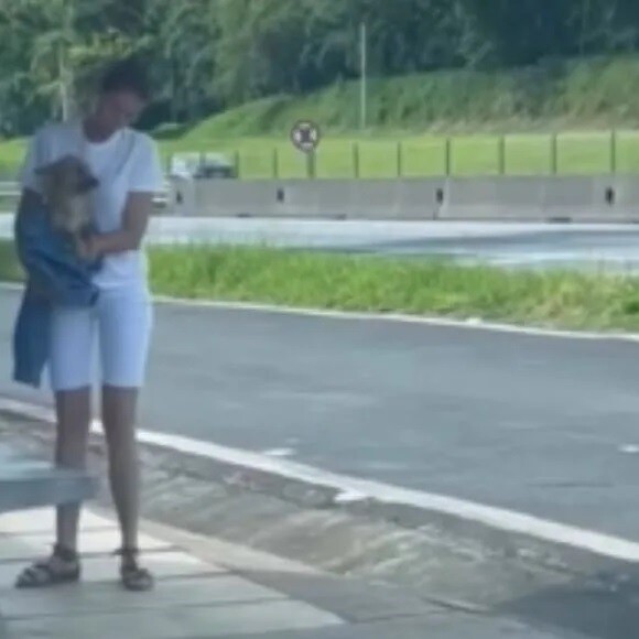 Imagens de Ana Hickmann resgatando cachorro Joaquim antes de adotá-lo foram resgatadas após relato agoniante da apresentadora