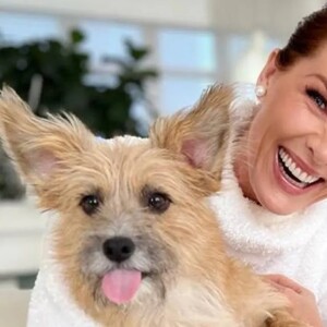Cachorro de Ana Hickmann foi o heroi da apresentadora quando ela sofreu com a violência do marido