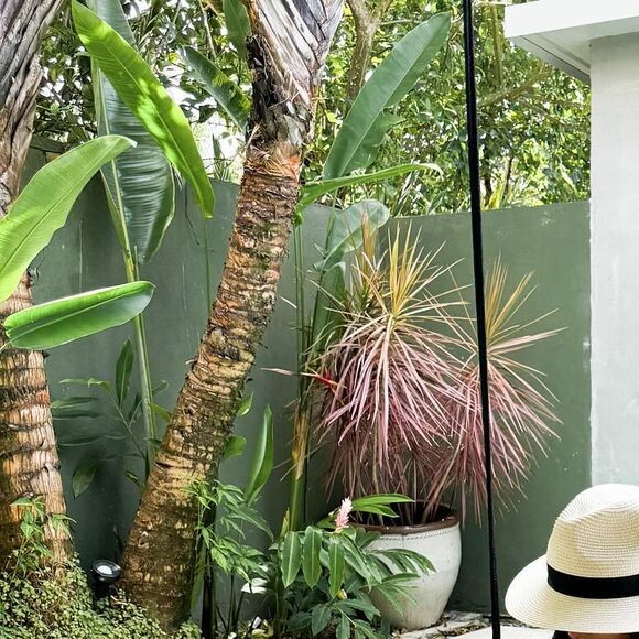 Mesversário de Mavie chama atenção pela simplicidade