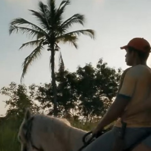 Em Renascer, Joao Pedro (Juan Paiva) leva Mariana (Theresa Fonseca) embora a cavalo para  fazenda