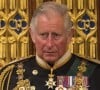 Com câncer, Rei Charles III piora no estado de saúde e faz entorno da Família Real atualizar rituais do funeral