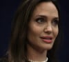 Como foi Shiloh quem contratou o advogado, Angelina Jolie não sabe detalhes do processo e, por isso, não comenta polêmica