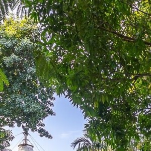 A propriedade, que tem um total de 3.300 metros quadrados, ainda conta com um lote independente de 850 metros quadrados que era utilizado como campo de futebol pela família