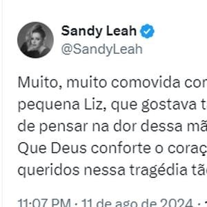 Sandy se manifestou após descobrir que Liz era sua fã