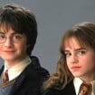 Nem óculos, nem cicatriz na testa: Harry Potter vai ganhar nova série e exigências da HBO para elenco chamam atenção; descubra