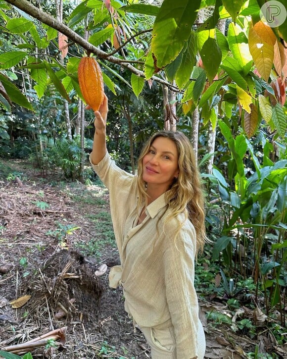 Look de Gisele Bündchen deixou à mostra sua barriga torneada e pernas saradas