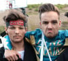 Zayn Malik e Liam Payne foram companheiros de grupo no One Direction de 2010 a 2015