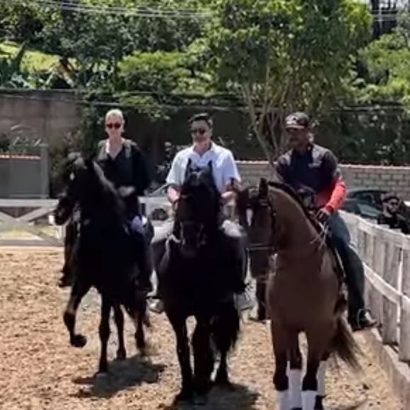 Edu Guedes deu para Ana Hickmann um cavalo de raça puro-sangue avaliado em até R$ 1 milhão