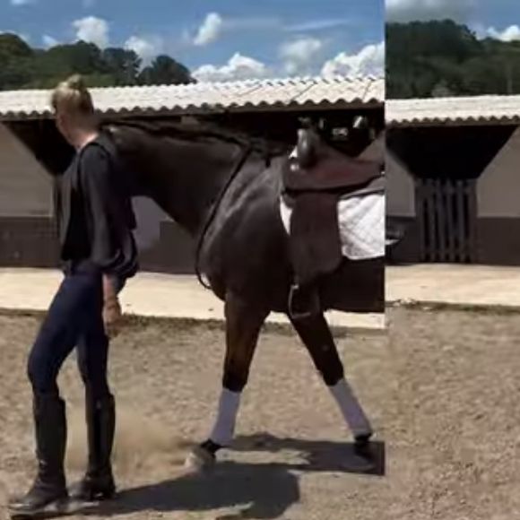 Ana Hickmann contou que nunca havia chegado tão perto de um cavalo
