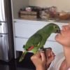 Recentemente, Xuxa apresentou seus animais de estimação em sua conta oficial do Facebook, dando beijinho no papagaio Ilari lari ê
