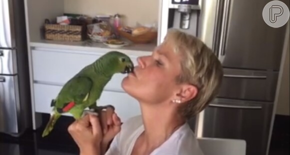 Recentemente, Xuxa apresentou seus animais de estimação em sua conta oficial do Facebook, dando beijinho no papagaio Ilari lari ê