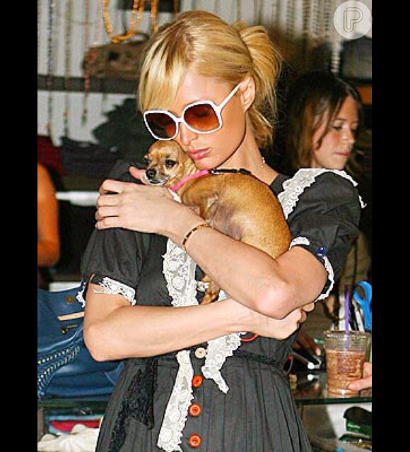 Paris Hilton lamenta morte de cadela que era sua marca registrada: 'Arrasada', em 21 de abril de 2015