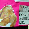 Em 2004, Tinkerbell fugiu de casa e Paris Hilton distribuiu cartazes por Los Angeles, nos Estados Unidos, oferecendo recompensa para quem devolvesse a cadela
